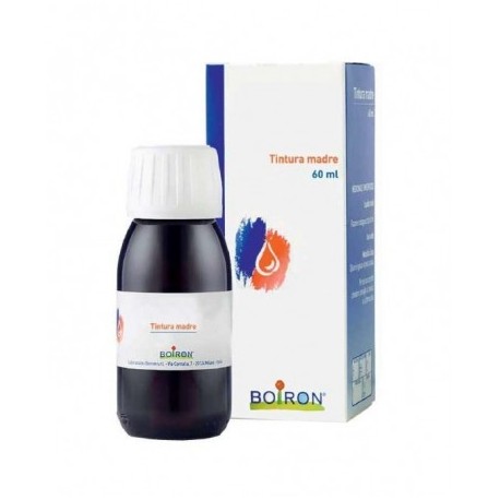  Gingko Biloba 60ml Tm