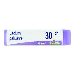 LEDUM PALUSTRE 30CH GL