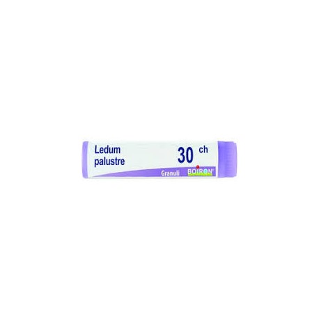 LEDUM PALUSTRE 30CH GL