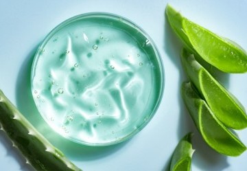 Quali sono i benefici dell'Aloe Vera?